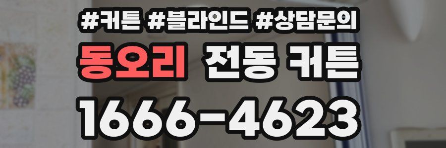 동오리 전동 커튼