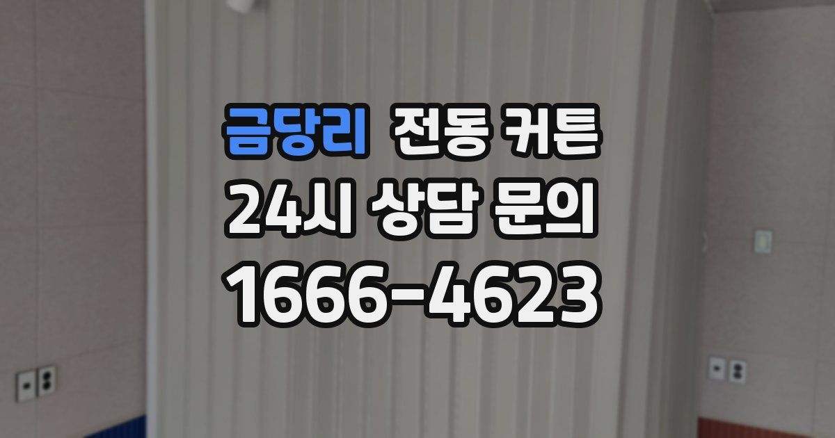 금당리 전동 커튼