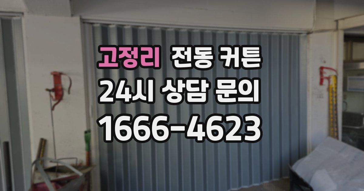 고정리 전동 커튼