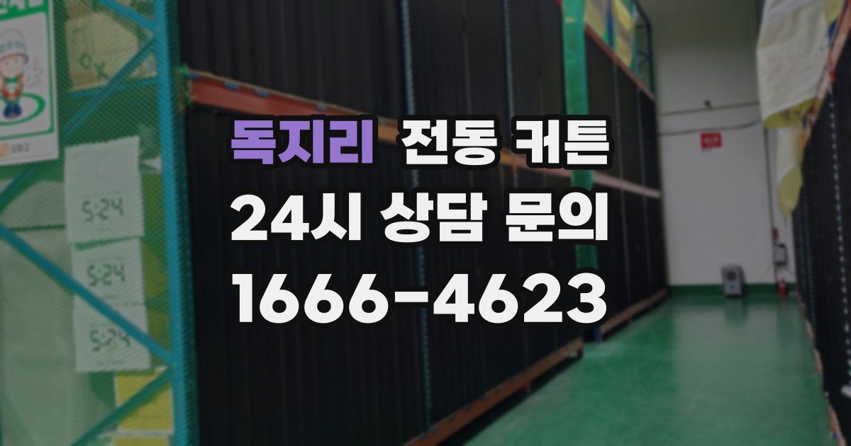 독지리 전동 커튼