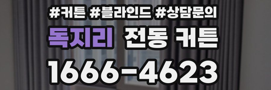 독지리 전동 커튼
