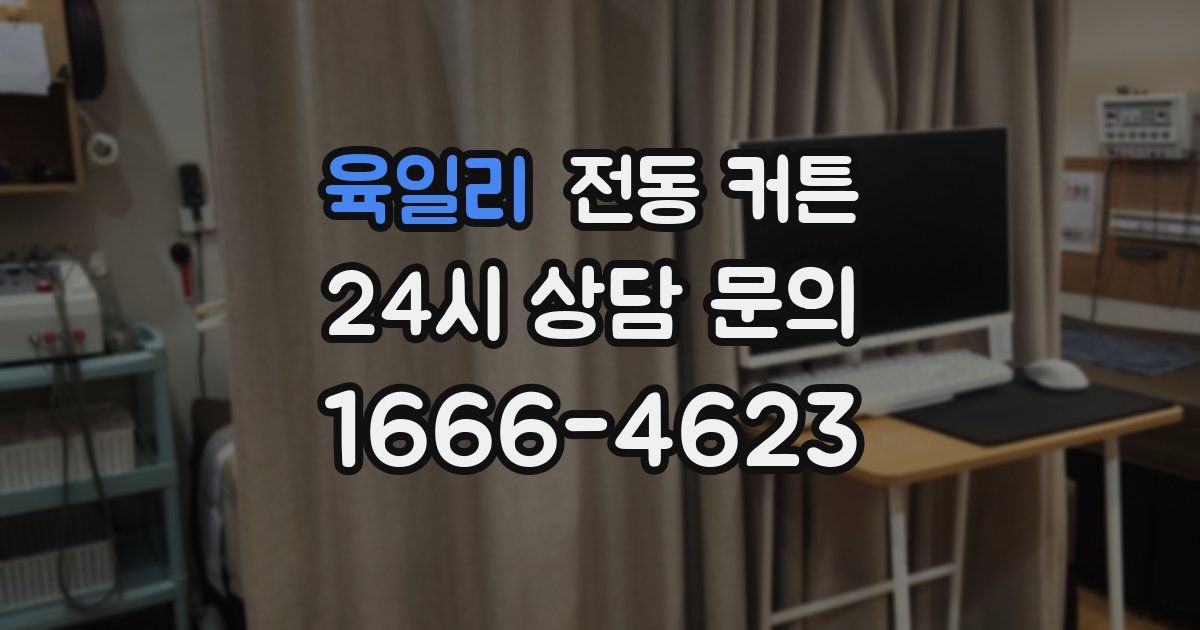 육일리 전동 커튼