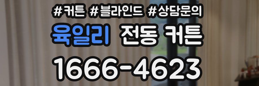 육일리 전동 커튼