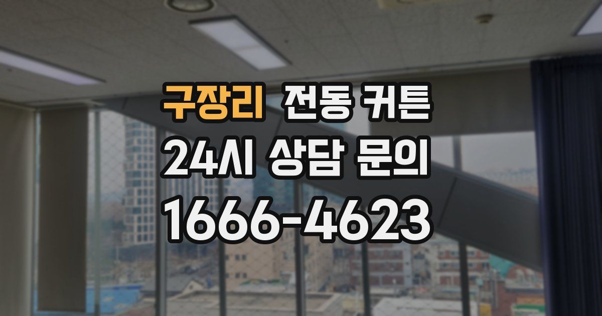 구장리 전동 커튼