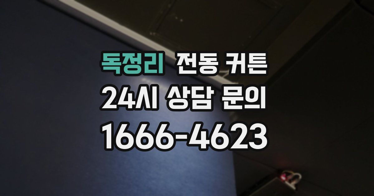 독정리 전동 커튼