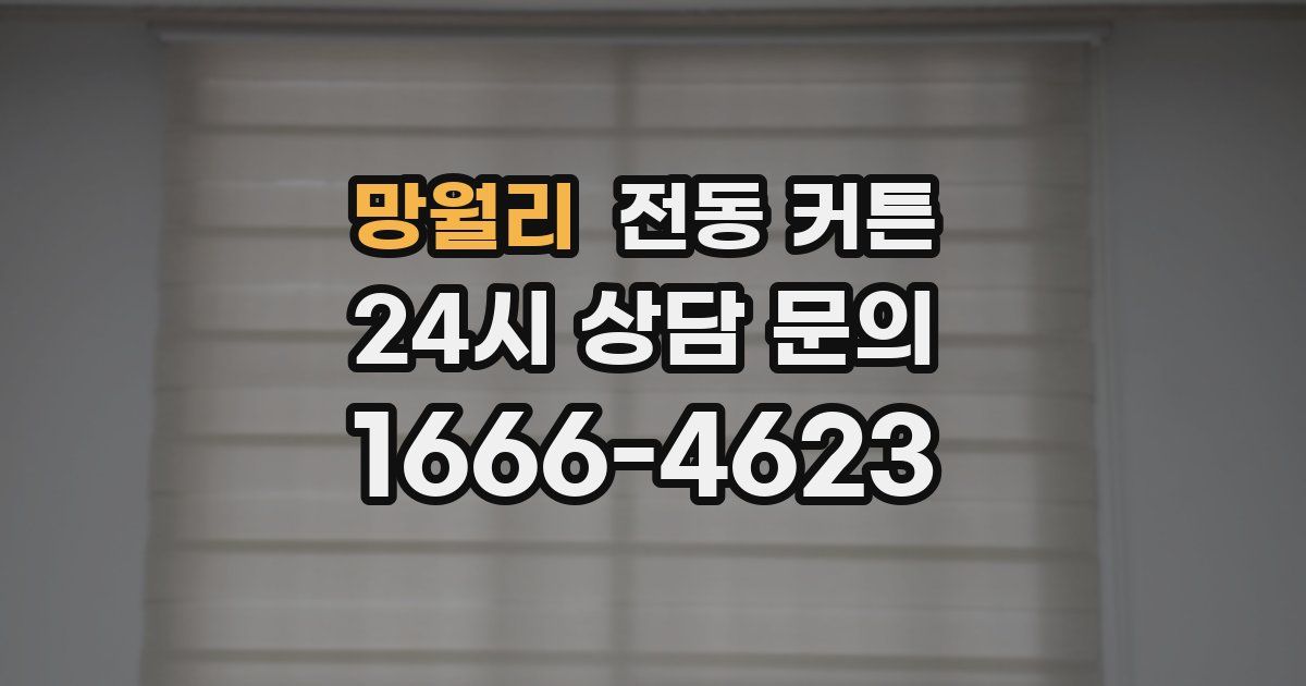 망월리 전동 커튼