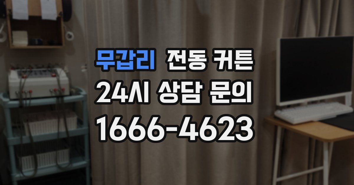무갑리 전동 커튼