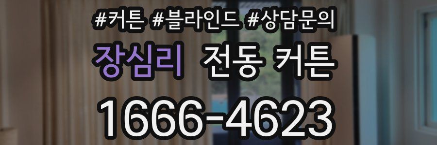 장심리 전동 커튼