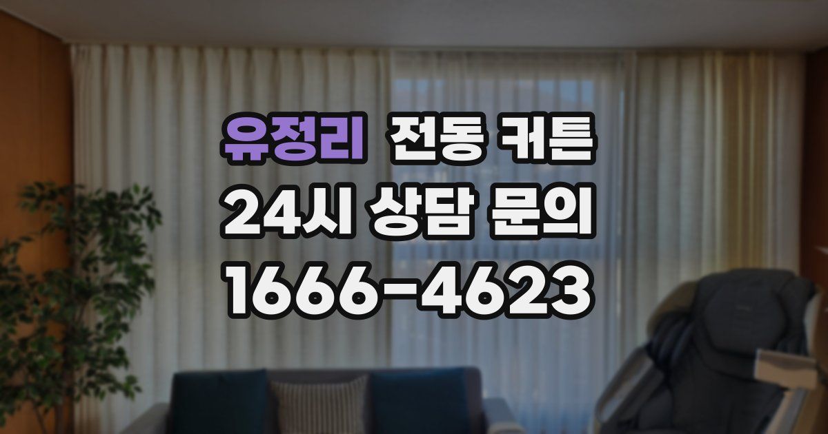 유정리 전동 커튼