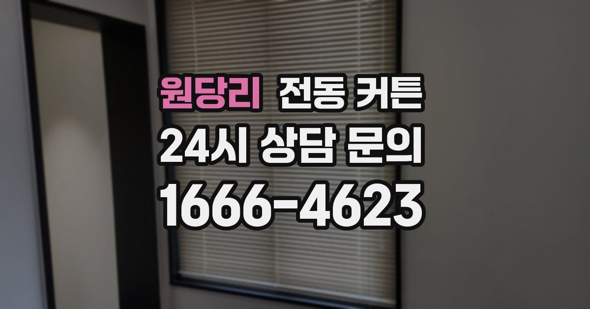 원당리 전동 커튼