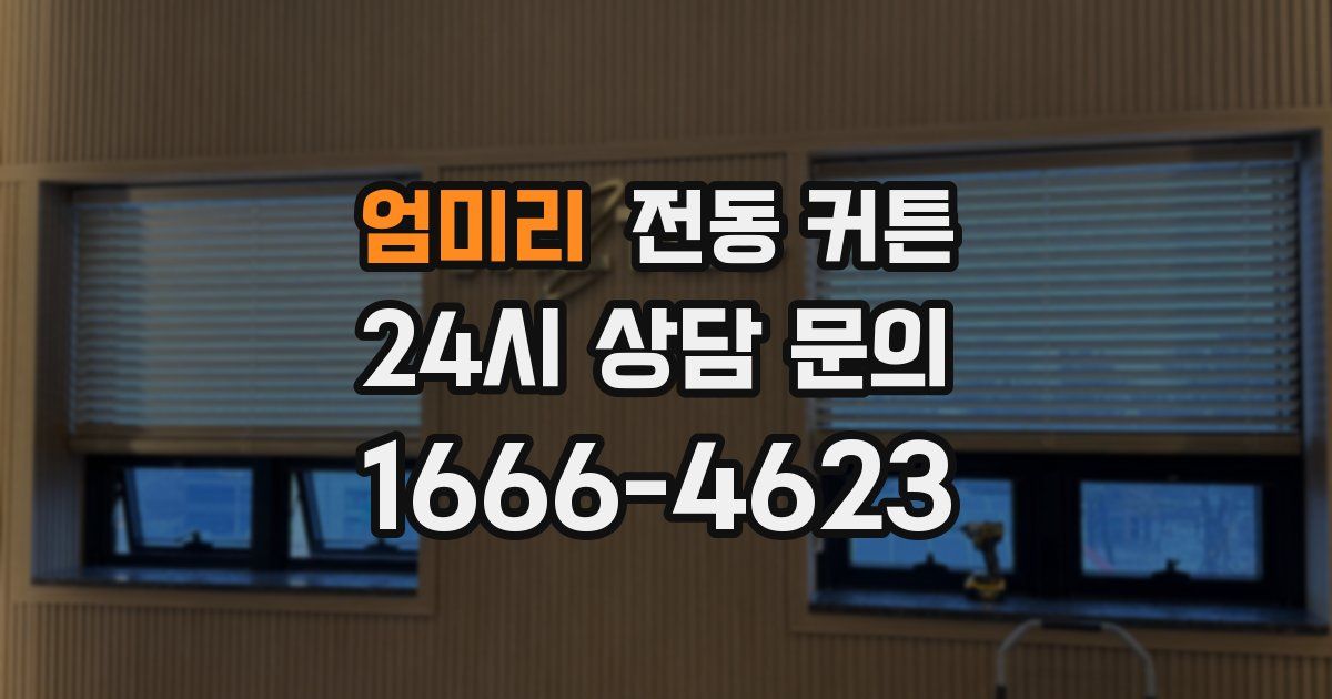엄미리 전동 커튼