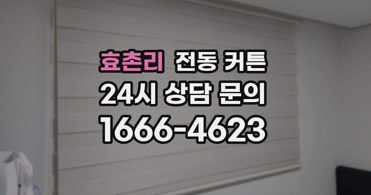 효촌리 전동 커튼