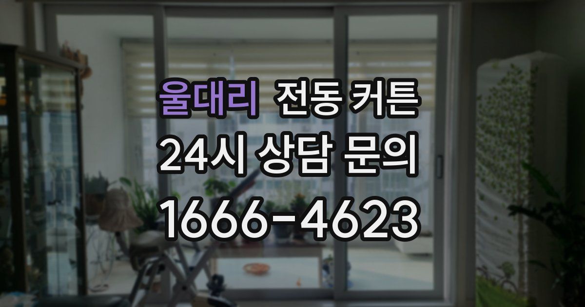 울대리 전동 커튼