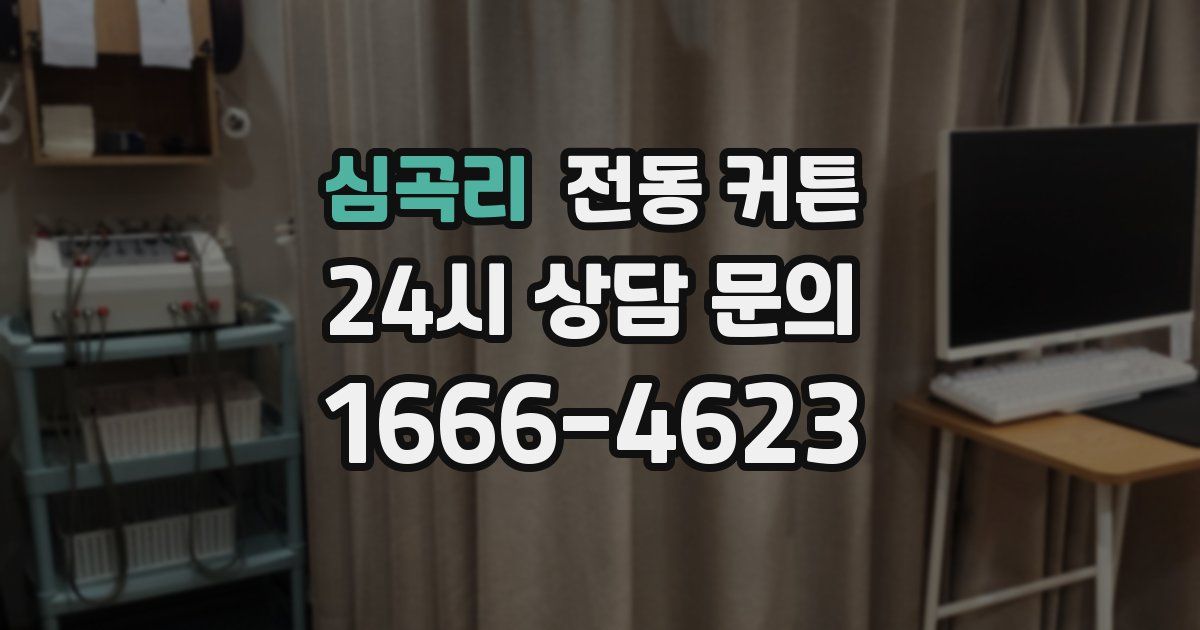 심곡리 전동 커튼