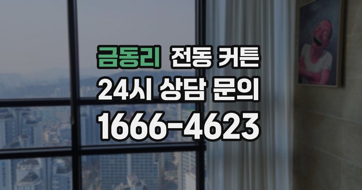 금동리 전동 커튼