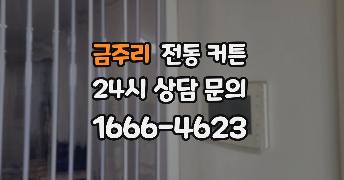 금주리 전동 커튼