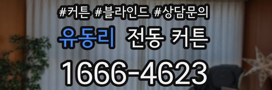 유동리 전동 커튼