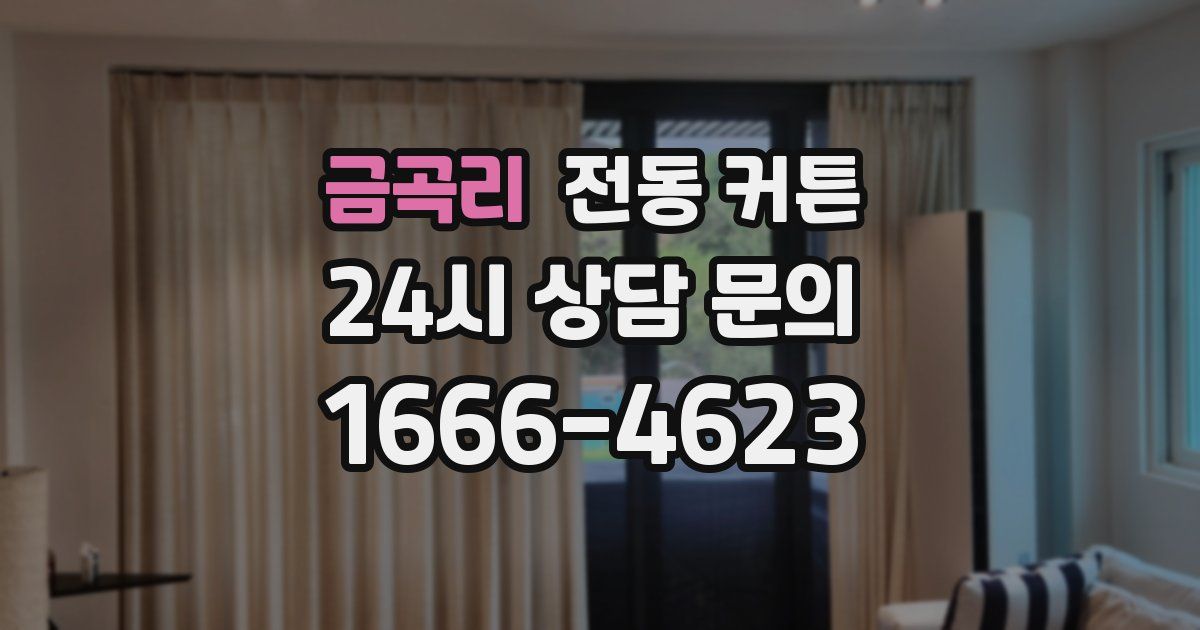 금곡리 전동 커튼