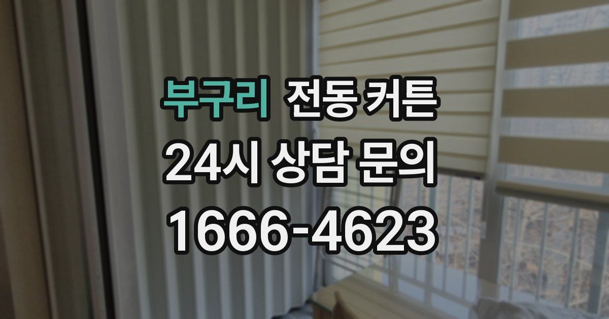 부구리 전동 커튼