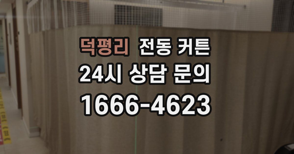 덕평리 전동 커튼