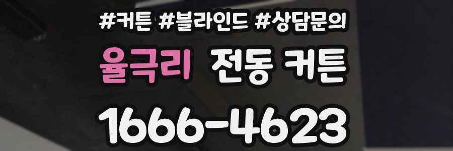 율극리 전동 커튼