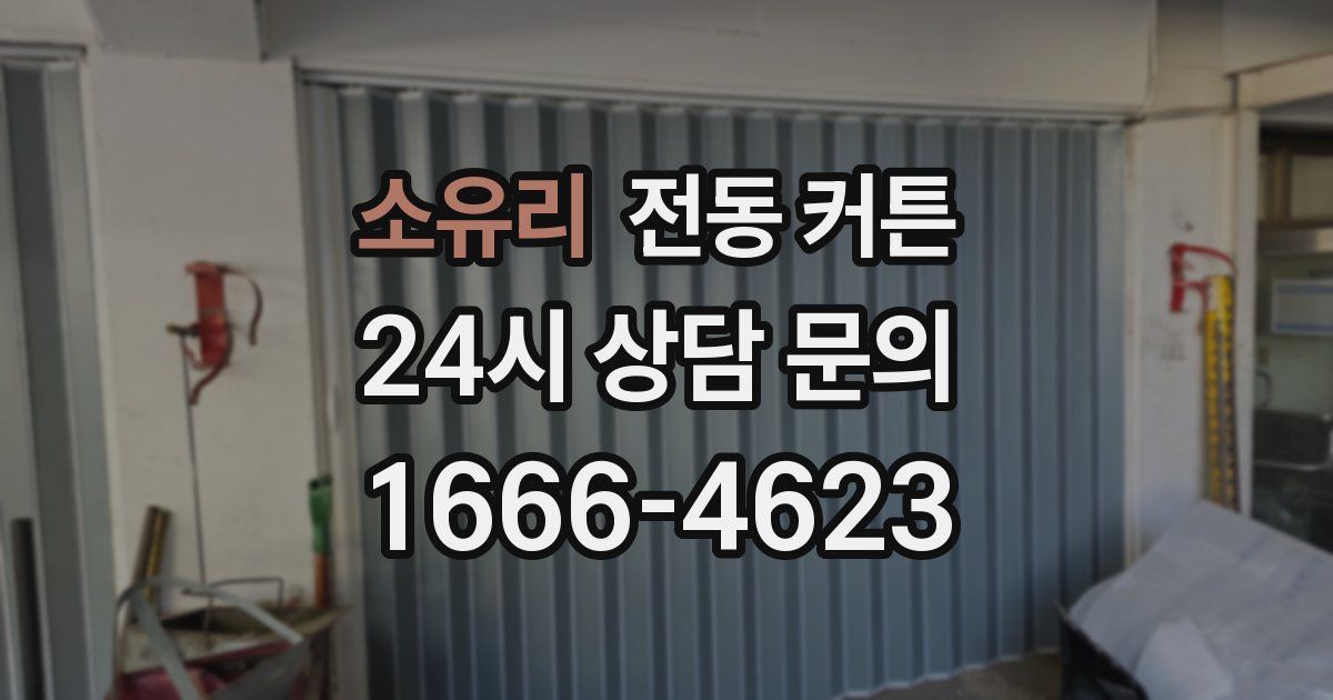 소유리 전동 커튼