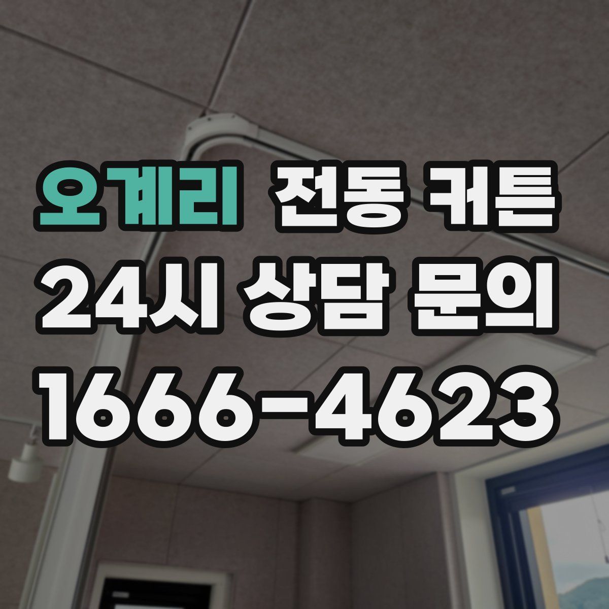 오계리 전동 커튼