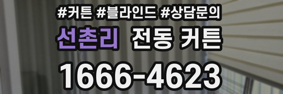 선촌리 전동 커튼