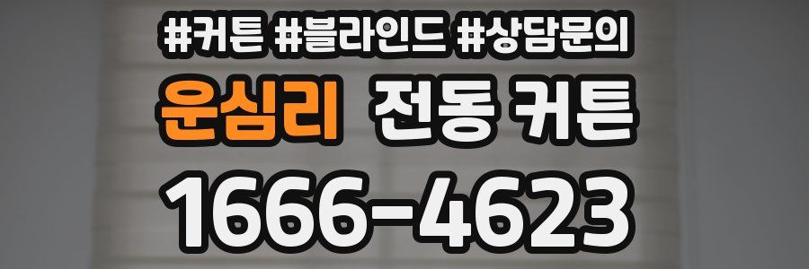 운심리 전동 커튼