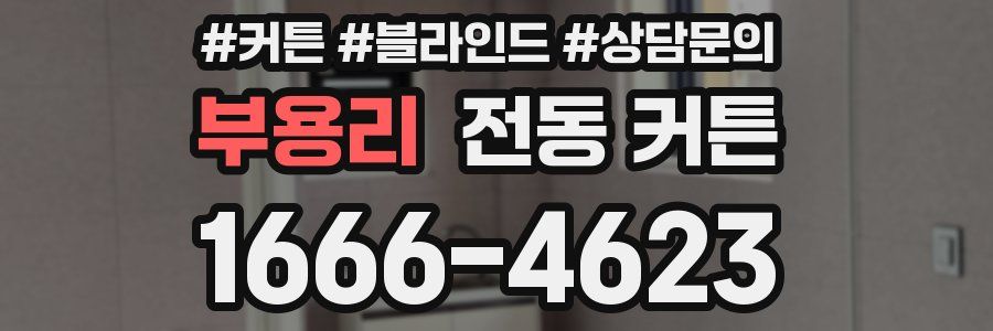 부용리 전동 커튼