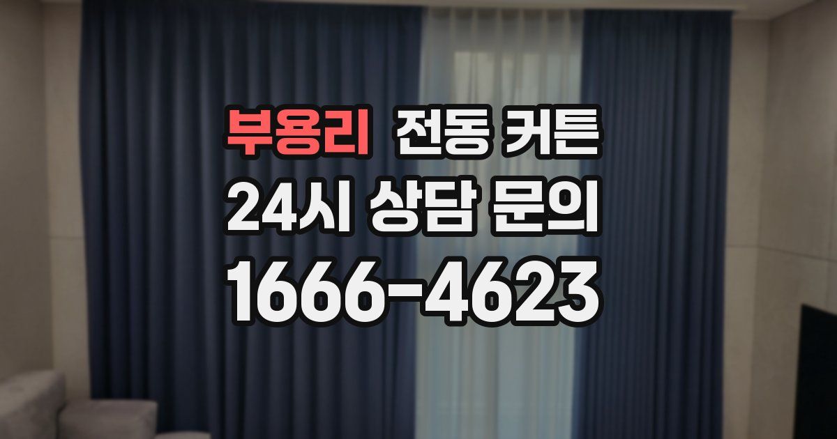 부용리 전동 커튼