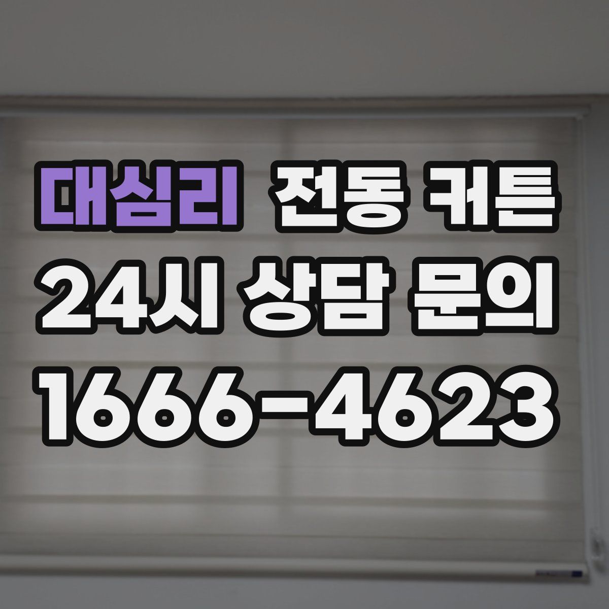 대심리 전동 커튼