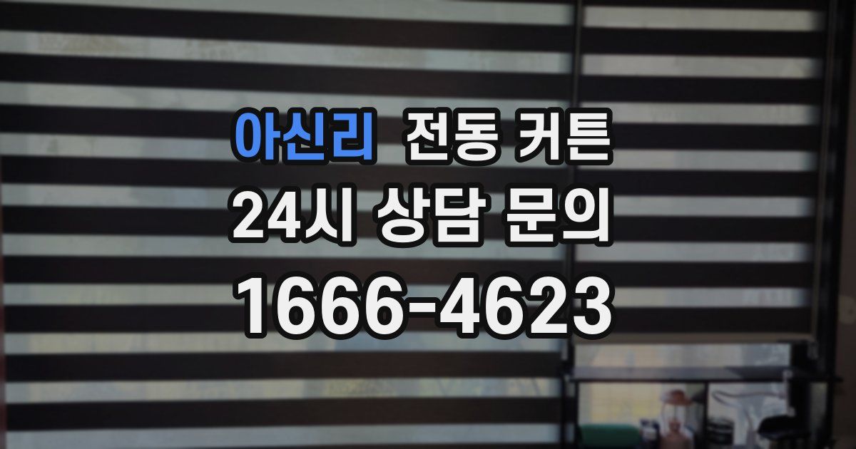 아신리 전동 커튼