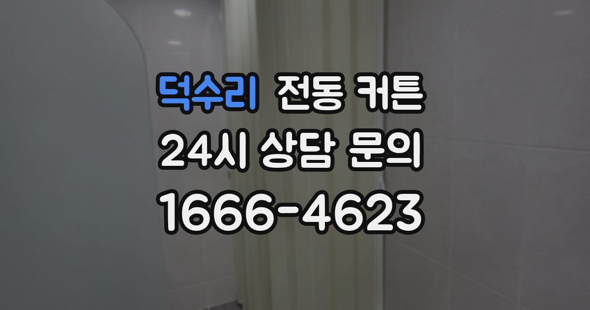 덕수리 전동 커튼