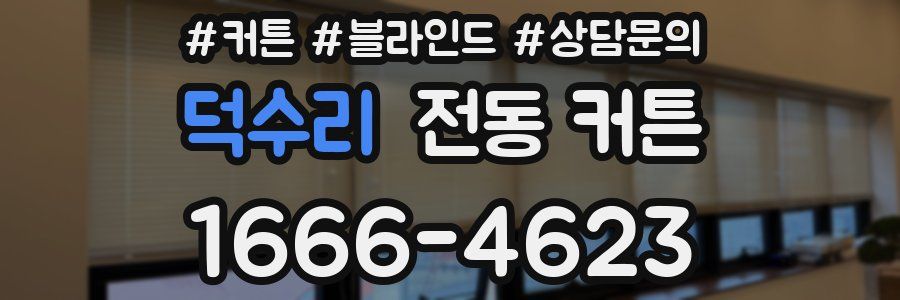 덕수리 전동 커튼
