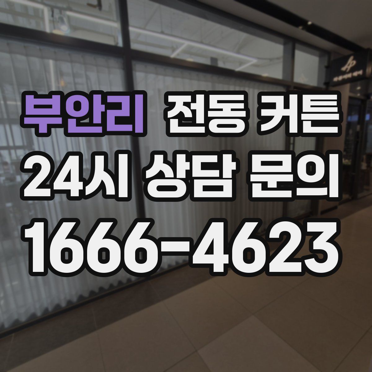 부안리 전동 커튼