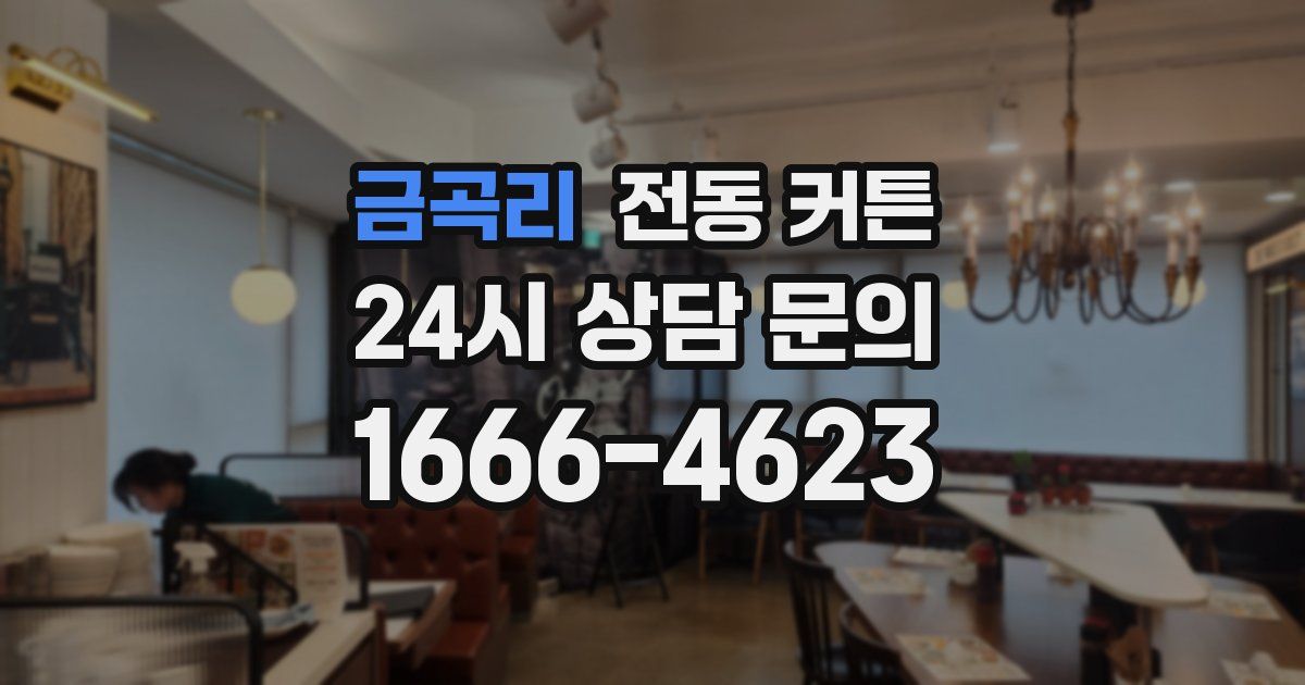 금곡리 전동 커튼