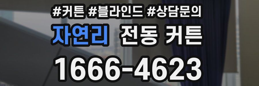 자연리 전동 커튼