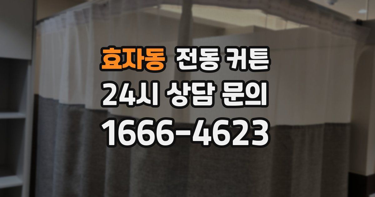 효자동 전동 커튼