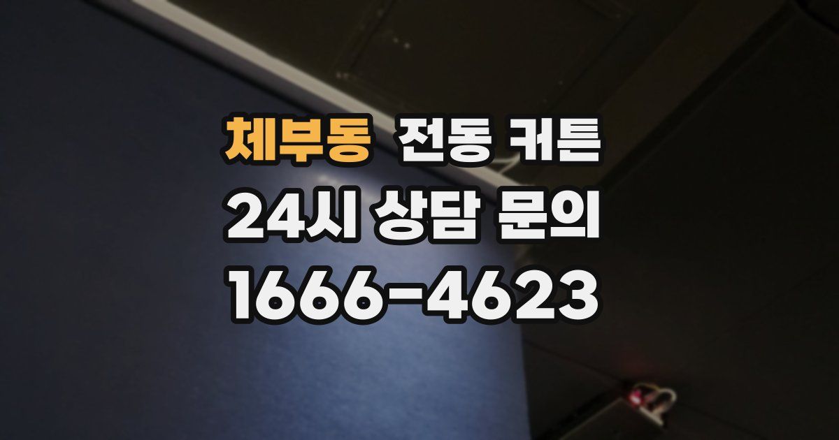 체부동 전동 커튼
