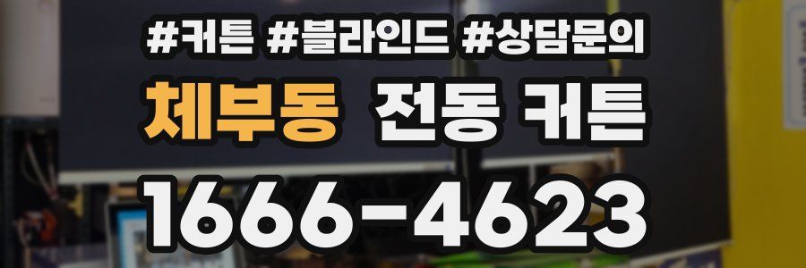 체부동 전동 커튼