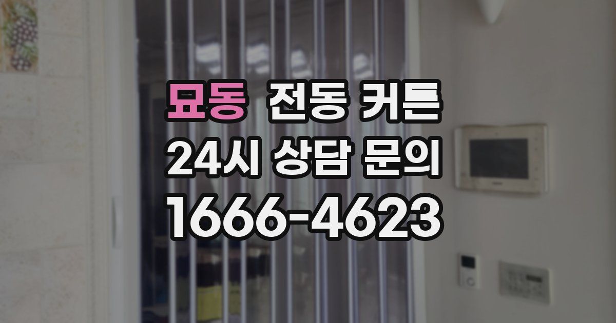 묘동 전동 커튼