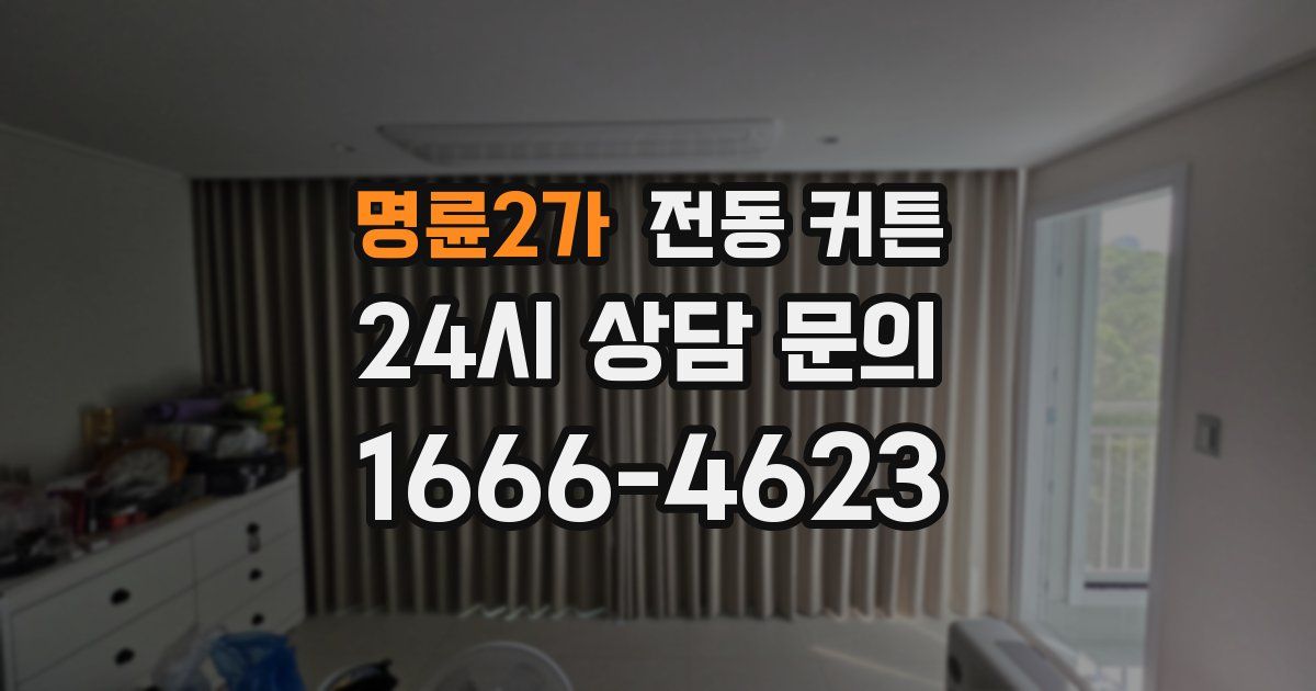 명륜2가 전동 커튼