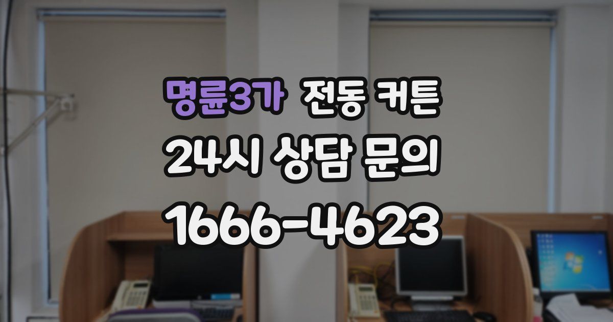 명륜3가 전동 커튼