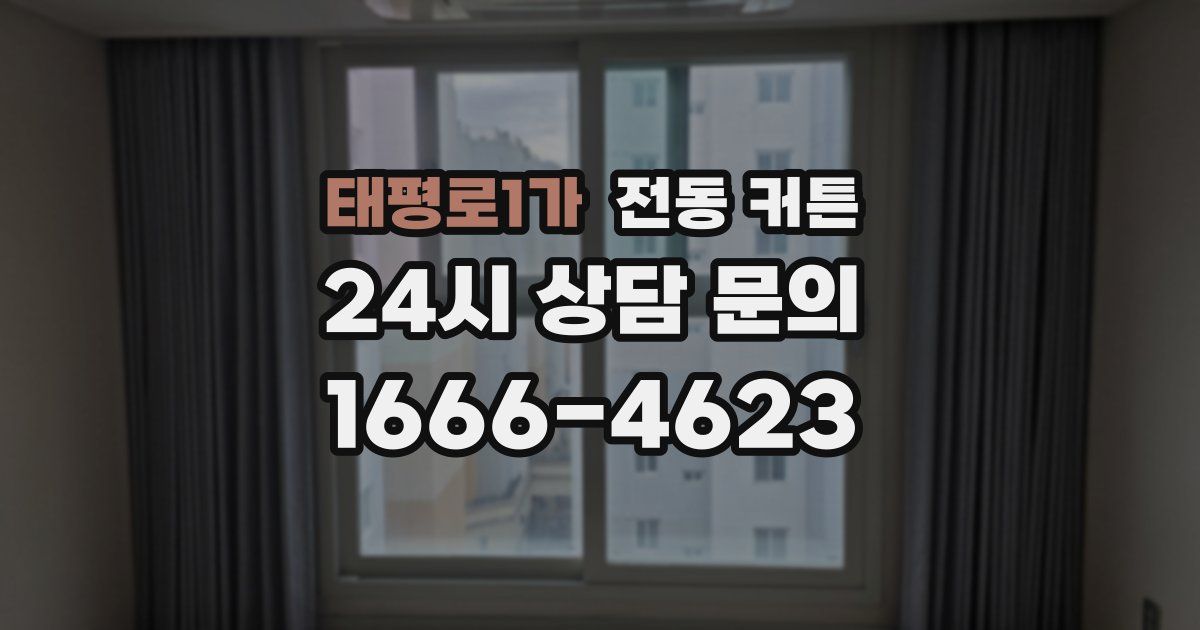 태평로1가 전동 커튼