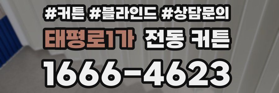 태평로1가 전동 커튼