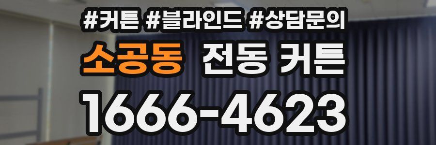 소공동 전동 커튼