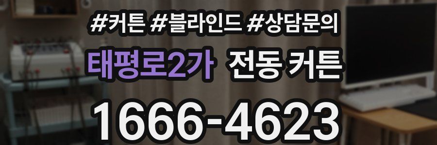 태평로2가 전동 커튼