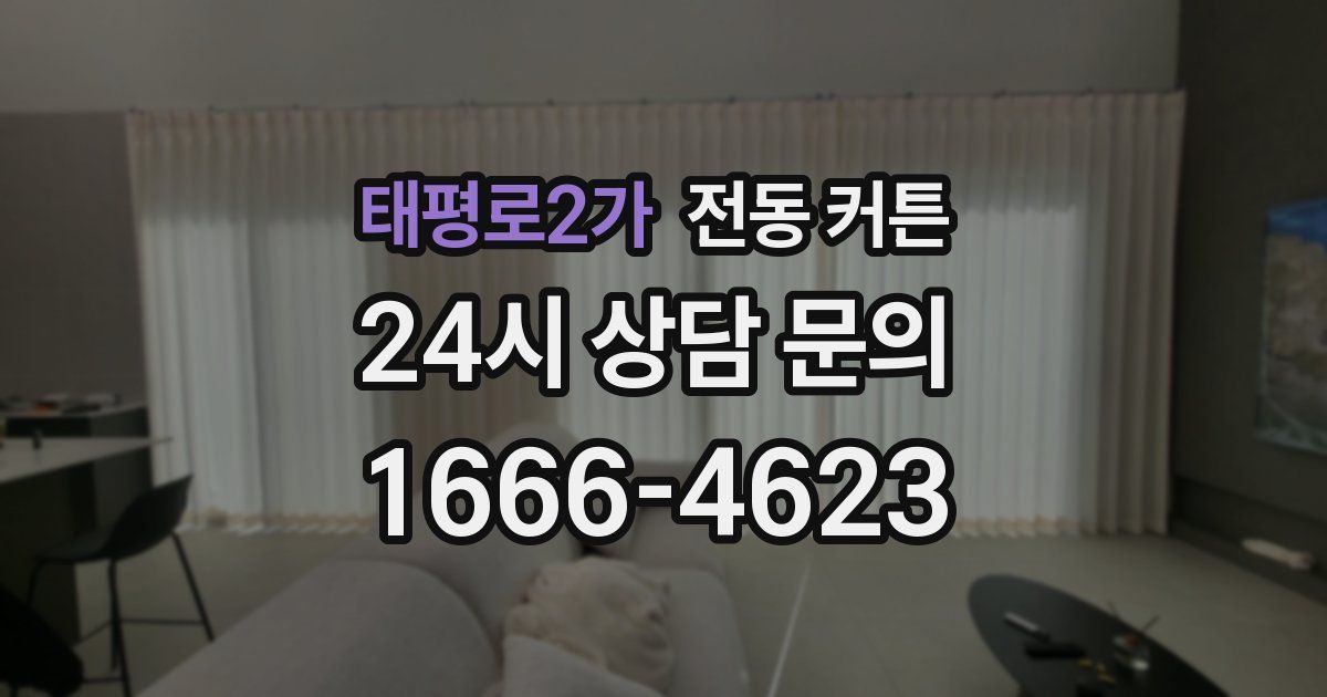 태평로2가 전동 커튼