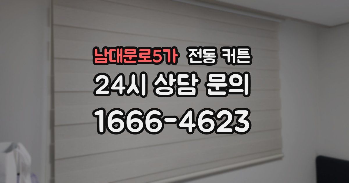 남대문로5가 전동 커튼